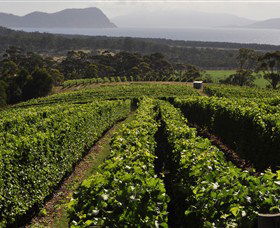 Bream Creek TAS Winery Find