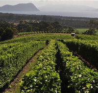 Bream Creek Vineyard - Winery Find