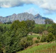 Lake Barrington Vineyard - Winery Find