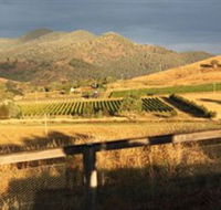 Optimiste Wines - Winery Find