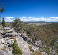 Munghorn Gap Nature Reserve - Winery Find