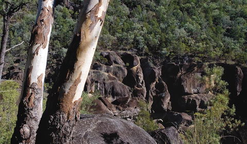 Macintyre Falls Lookout - Winery Find 3