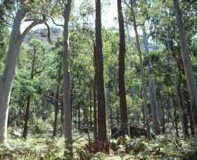 Cathedral Range State Park - Winery Find 0