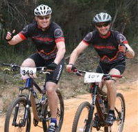 Trailhead Bike Co. - Winery Find