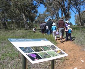 Riverina And The Murray ACT Winery Find
