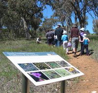 South Gundagai Woodlands Walk - Winery Find