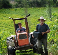 Kellybrook Winery Kelly Brothers Cider  Riders Brew Co. - Winery Find