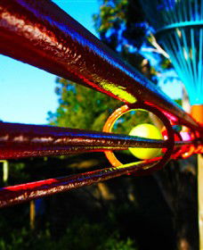 Bellarine Adventure Golf - Winery Find 6