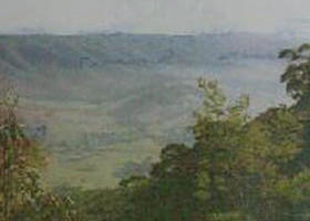 Mount Granya State Park - Winery Find 0