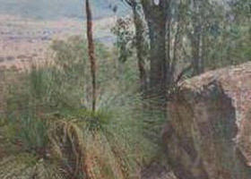 High Country VIC Winery Find