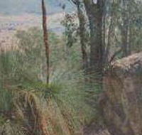 Mount Lawson State Park - Winery Find