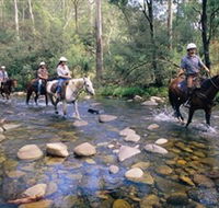 Howqua Hills Historic Area - Winery Find