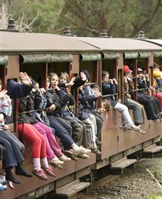 Puffing Billy Steam Railway - Winery Find 1