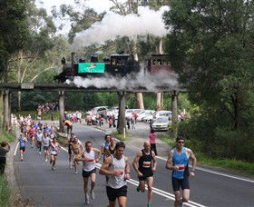 Puffing Billy Steam Railway - Winery Find 7