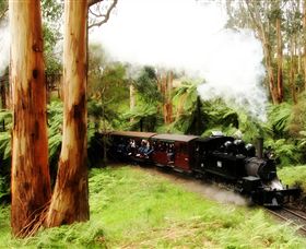 Puffing Billy Steam Railway - Winery Find 5