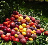 Rayner's Orchard - Winery Find