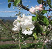 Mouat's Farm - Winery Find