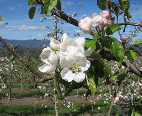 Mouat's Farm - Winery Find 0