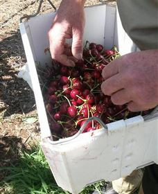 Mouat's Farm - Winery Find 3