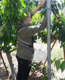 Mouat's Farm - Winery Find 4