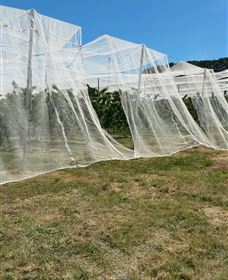 Mouat's Farm - Winery Find 5