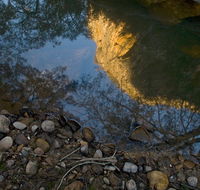 Abercrombie Karst Conservation Reserve - Winery Find