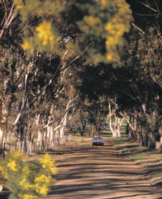 Malyalling ACT Winery Find