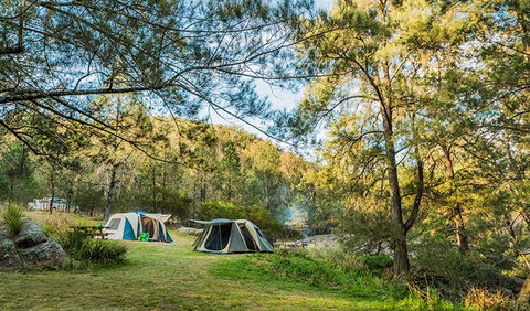Warrabah National Park - Winery Find 1