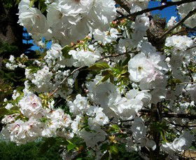 Beleura The House And Garden - Winery Find 1