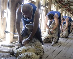 The Woolshed At Jondaryan - Winery Find 1