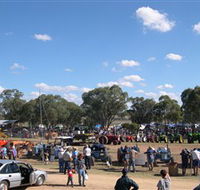 Quirindi Rural Heritage Village - Winery Find
