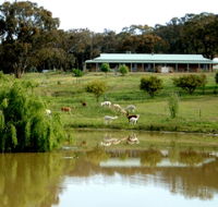 Clearview Alpacas - Winery Find