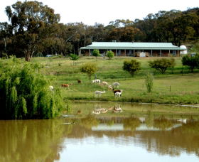 Clearview Alpacas - Winery Find 0