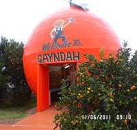 Gayndahs Big Orange - Winery Find