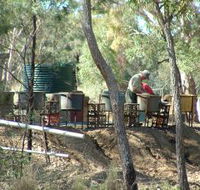 7 Oaks Sapphire Fossicking - Winery Find