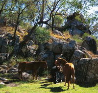 Coomba Falls - Winery Find
