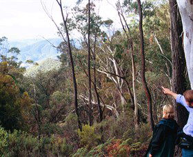 Hume And Hovell Walking Track - Winery Find 5