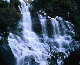 Hume And Hovell Walking Track - Winery Find 4