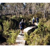 Hume and Hovell Walking Track - Henry Angel Trackhead - Winery Find