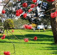 The Yass Golf Club - Winery Find
