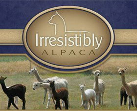 Marchmont Park Alpacas - Winery Find 0