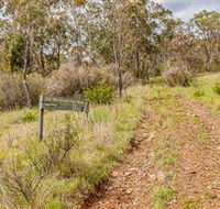Old Mountain Road Walking Track - Winery Find