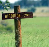 Wooroolin Wetland - Winery Find