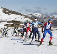 Falls Creek All Season Alpine Resort - Winery Find