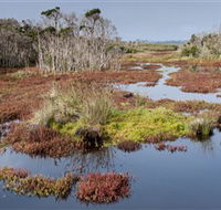 French Island National Park - Winery Find