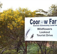 Coorow Farm Wildflower Trail - Winery Find