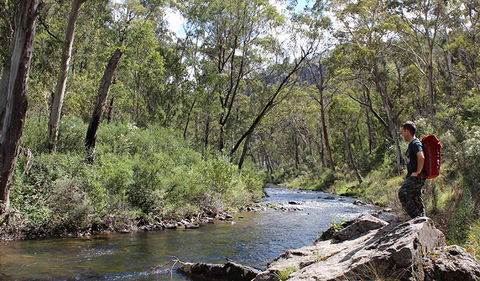 Yarrangobilly Caves - Winery Find 1