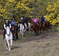 Burnelee Excursions on Horseback - Winery Find