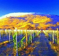 Surveyors Hill Winery - Winery Find