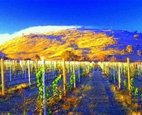Surveyors Hill Winery - Winery Find 0